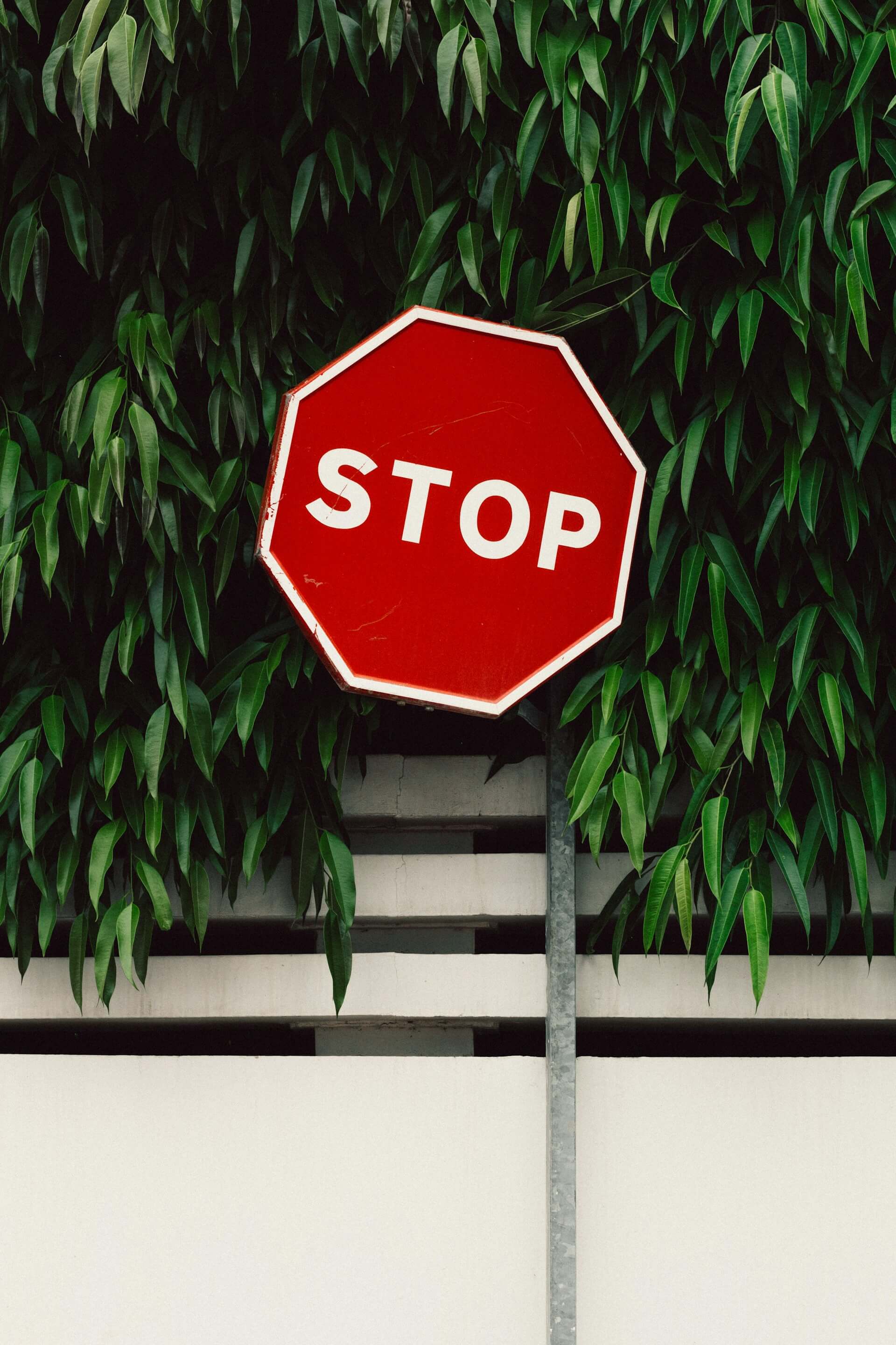banner-image